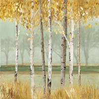 Framed 'Golden Birch' border=