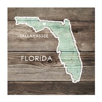 Framed 'Florida Rustic Map' border=