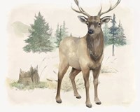 Framed 'Wilderness Collection Elk' border=