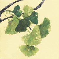 Framed 'Gingko Leaves I Dark' border=