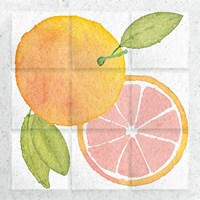 Framed 'Citrus Tile VIII' border=