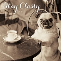 Framed 'Cafe Pug Stay Classy' border=