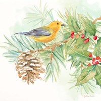 Framed 'Winter Birds I Warbler' border=