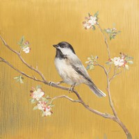 Framed 'Black Capped Chickadee on Gold' border=