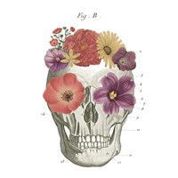 Framed 'Floral Skull II' border=