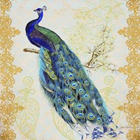 Framed 'Beautiful Peacock  -  B' border=