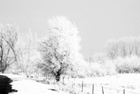 Framed Winter Scene