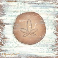 Framed 'Ocean Sand Dollar' border=