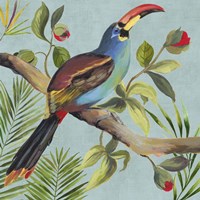 Framed 'Paradise Toucan I' border=