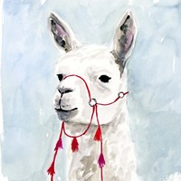 Framed 'Watercolor Llama II' border=