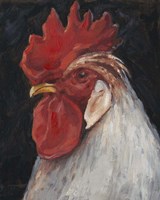 Framed 'Rooster Portrait II' border=