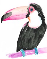 Framed 'Technicolor Toucan II' border=