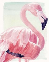 Framed 'Pastel Flamingo II' border=