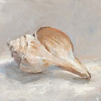 Framed 'Impressionist Shell Study III' border=