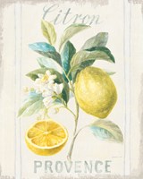 Framed 'Floursack Lemon IV' border=