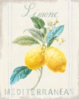 Framed 'Floursack Lemon III' border=