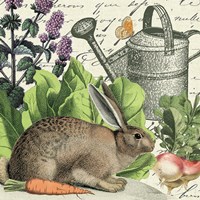 Framed 'Garden Rabbit I' border=