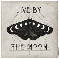 Framed 'Live by the Moon I' border=