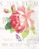 Framed 'Maison des Fleurs VIII' border=