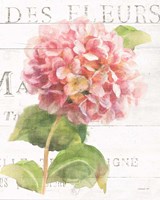 Framed 'Maison des Fleurs VII' border=