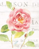 Framed 'Maison des Fleurs V' border=