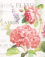 Framed 'Maison Des Fleurs IV' border=