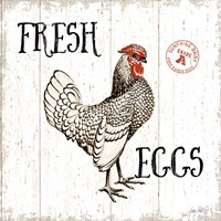 Framed 'Free Range Fresh IV' border=