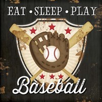 Framed 'Eat, Sleep, Play, Baseball' border=