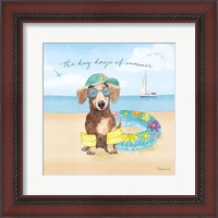 Framed 'Summer Paws III' border=