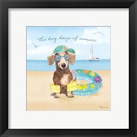 Framed 'Summer Paws III' border=