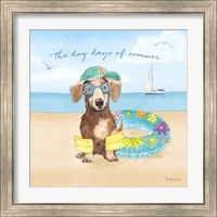 Framed 'Summer Paws III' border=