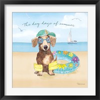 Framed 'Summer Paws III' border=