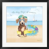 Framed Summer Paws III