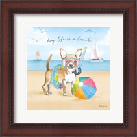 Framed 'Summer Paws II' border=