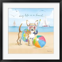 Framed 'Summer Paws II' border=