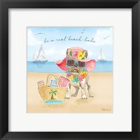 Framed 'Summer Paws IV' border=