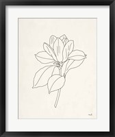 Framed Magnolia Line Drawing