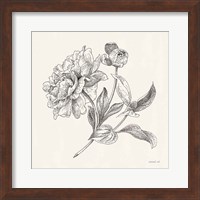 Framed 'Flower Sketches I' border=