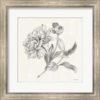 Framed 'Flower Sketches I' border=