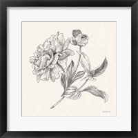 Framed 'Flower Sketches I' border=