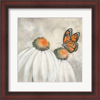 Framed 'Butterflies are Free II' border=