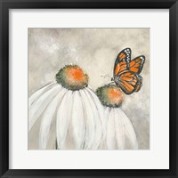 Framed 'Butterflies are Free II' border=