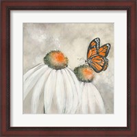 Framed 'Butterflies are Free II' border=