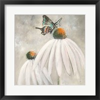 Framed 'Butterflies are Free I' border=