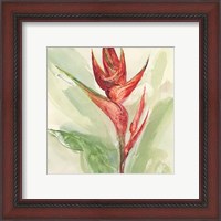 Framed 'Exotic Flower IV' border=