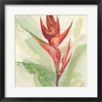 Framed Exotic Flower IV