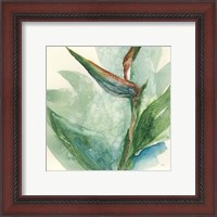 Framed 'Exotic Flower III' border=