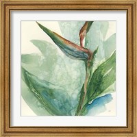 Framed 'Exotic Flower III' border=