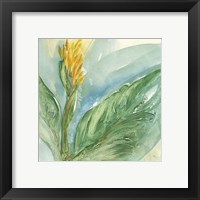 Framed 'Exotic Flower II' border=