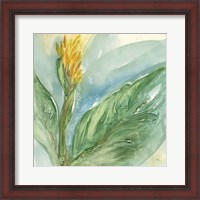 Framed 'Exotic Flower II' border=